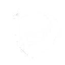 共鸣技能图标